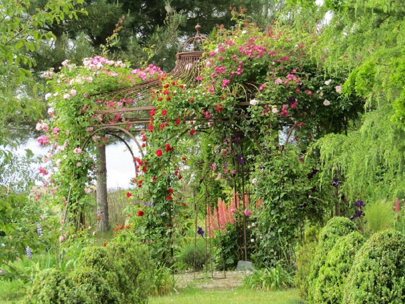 Chambre D Hotes La Barriere Channay-sur-Lathan Kültér fotó